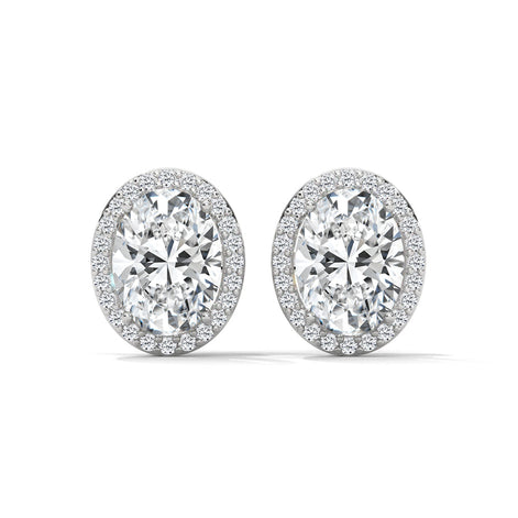 Horizon Halo Oval Studs